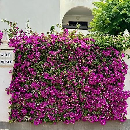 Casa Mia Διαμέρισμα Τορεβιέχα